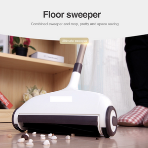 Magic carpet sweeper with mop function